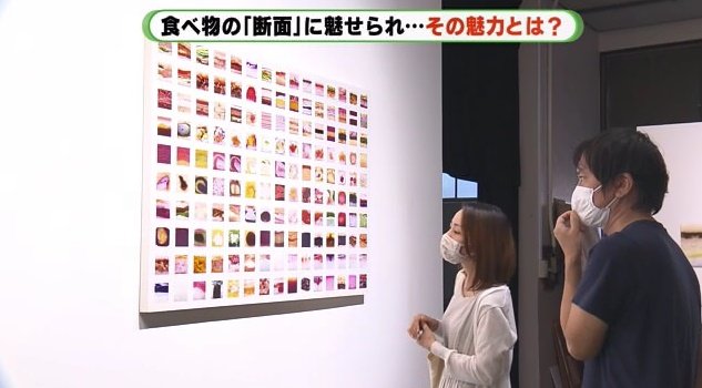 断面の写真から、見た人の想像力が広がる