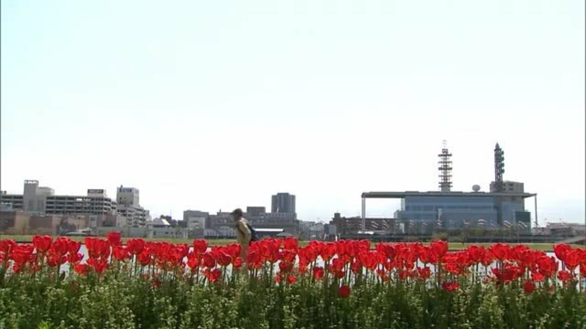 偽りの晴れ間 上 - エンタメ その他