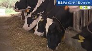 牛乳ショックで酪農家悲鳴　エサ代1.5倍に「廃業が進む可能性も十分…」 10月以降は更なる値上げも【広島発】