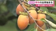 生産者「天ぷらが美味しい」愛知県幸田町で特産『筆柿』の出荷始まる 今年は実の生育が早く 甘い濃厚な味に