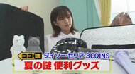 扇風機に噴水も…暑い夏に活躍!ダイソー・セリア・スリコで“謎の便利グッズ”を調査