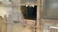 クマにブドウ食べられる　出荷のため小屋に保管　2日連続で同様の被害　岩手県紫波町