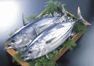 全国4万5千人調査で判明！土佐久礼(高知県中土佐町)が、“かつお愛“日本一の町に！