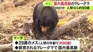『敬老の日』東山動植物園で29歳のマレーグマ「マー子」の長寿を祝う会 人間だと約90歳で国内最高齢