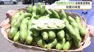 １年に今だけの特別な味　村田町のソラマメを全国に届ける「そら豆ゆうパック」の出発式が道の駅で〈宮城〉