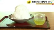 犀川沿いにひっそり佇む…“大人の隠れ家”がコンセプトのかき氷専門店 金沢『つぼみ』が期間限定オープン