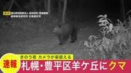 【ヒグマ速報】札幌市豊平区羊ケ丘にクマ出没…山林を歩く姿をカメラが撮影…周辺ではほかにも出没情報