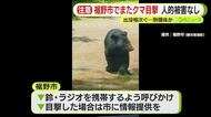 「クマが自宅の裏手を…」　4月から目撃情報が10件寄せられるも…これまでとは別の個体の可能性が高く　人や建物の被害なし