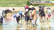 今年はハートマークなど…子供達が田んぼをキャンバスに見立てた“古代米アート”の田植え 輪島市町野町