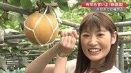 大きくて甘いよ!高知を代表する秋の味覚「新高梨」糖度はメロン並み まもなく食べ頃です【高知】