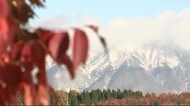 盛岡で今冬初の氷点下に 各地で今季一番の冷え込み<岩手県>