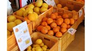 復興を応援!飯舘村に四国のうまいもの大集合 道の駅で四国物産展はじまる