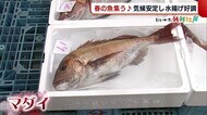 〈にいがた新鮮組〉高級魚マダイが家庭で手頃に? 佐渡産銀ザケも 気候安定で水揚げ好調!
