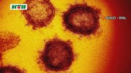 【速報】長崎県内で新たに39人が新型コロナ感染