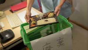 食べられるのに…「食品ロス」年間643万トンの無駄!削減法成立で政府も本腰 今できることは何?