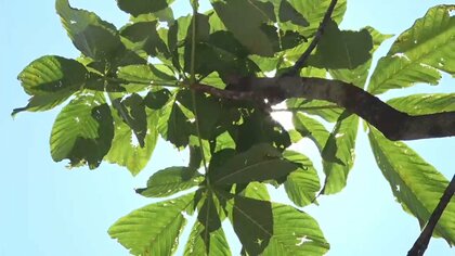 「布団が乾きやすくなるM字干し」「衣類のカビ対策」…梅雨の晴れ間の活用術を専門家が解説