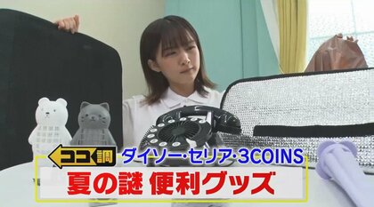 扇風機に噴水も…暑い夏に活躍！ダイソー・セリア・スリコで“謎の便利グッズ”を調査