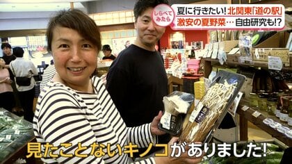 子供が夢中！夏に行きたい北関東「道の駅」【しらべてみたら】