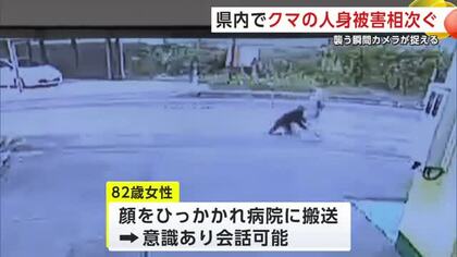 襲われる瞬間が防犯カメラに…大仙市の82歳女性、散歩中にクマに襲われけが　大館市でも50歳男性が襲われる　秋田で3日連続の人身被害　