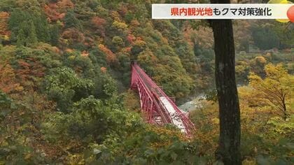 【動画あり】観光地のクマ対策が本格化　世界遺産も警戒、相倉合掌造り集落と黒部峡谷鉄道では独自対策