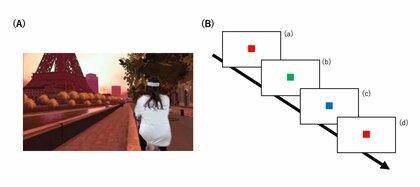 【新潟医療福祉大学・筑波大学】仮想現実環境(VR)を用いた運動が気分や実行機能を高めることを発見!