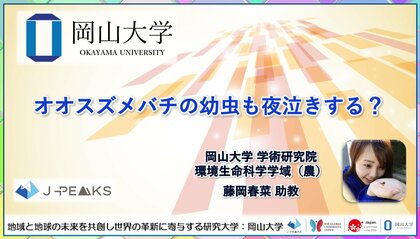 オオスズメバチの幼虫も夜泣きする？〔岡山大学, 神戸大学〕