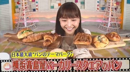 老舗焼き鳥店の「つくねサンド」にもちふわ「風船パン」 日本最大級“パンのテーマパーク”誕生！人気商品をチェック