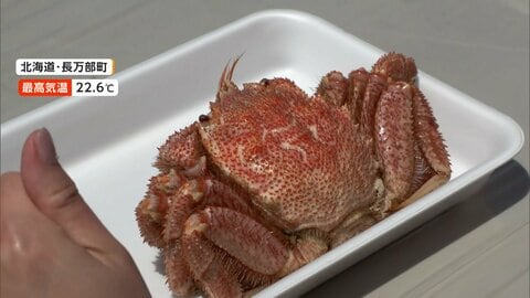 「半端なくおいしかった！」北海道で毛ガニ早食い競争　全国各地で“季節先取り”イベントめじろ押し