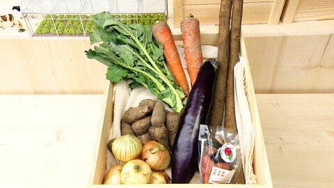 「絶滅危惧野菜」に先端技術活用　“救う”農業プロジェクト始動