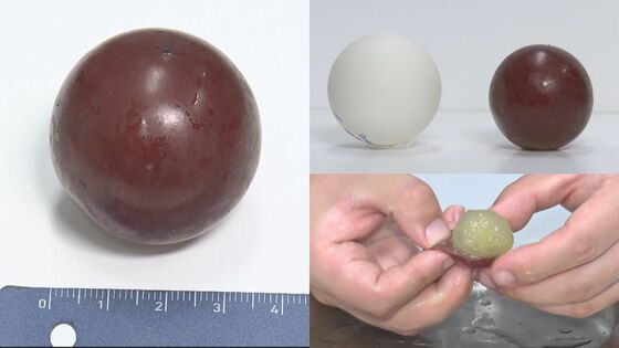 実の大きさはピンポン球と比べても遜色ない 皮をむくと果汁があふれ出す