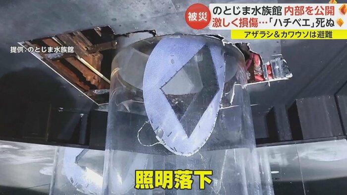 クラゲの水槽内に照明が落ちていた