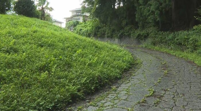 現場周辺