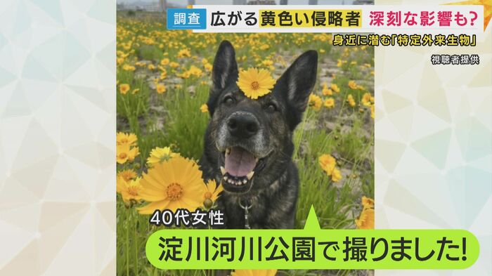淀川河川公園にも!