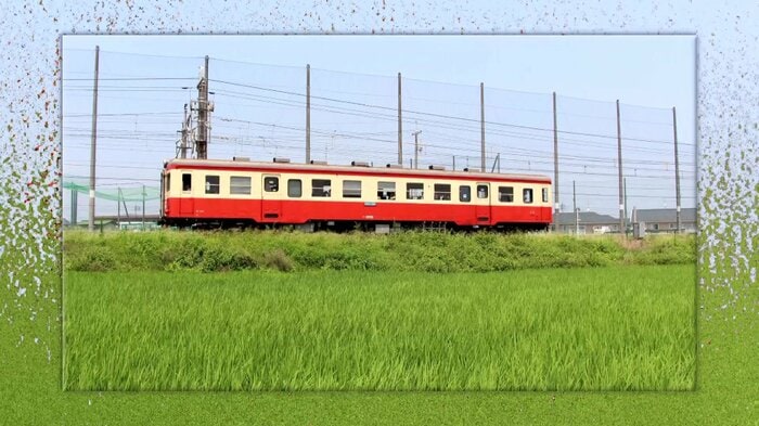 車両が青空と緑に映える
