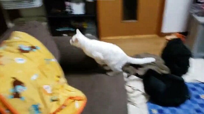 ソファを飛び越えて…