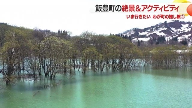 1年の中でも春のこの時期だけの絶景を湖上で、カヌーで見に行く