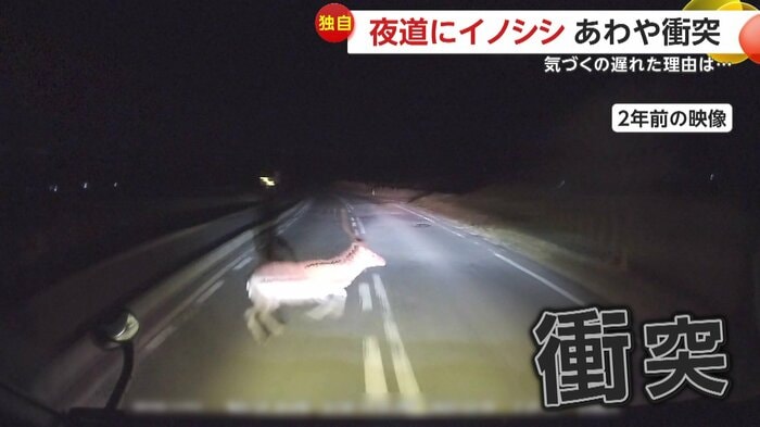 2年前に衝突したシカとの事故映像(視聴者提供)