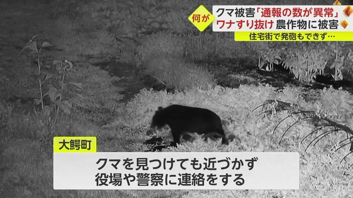 大鰐町はクマへの注意を呼びかけ