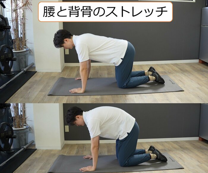 腰と背骨のストレッチ(画像上→下の動きで行う):反り腰タイプにお勧め