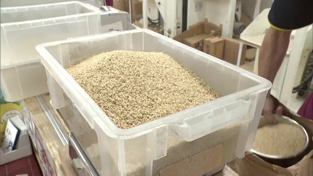 精米前の玄米