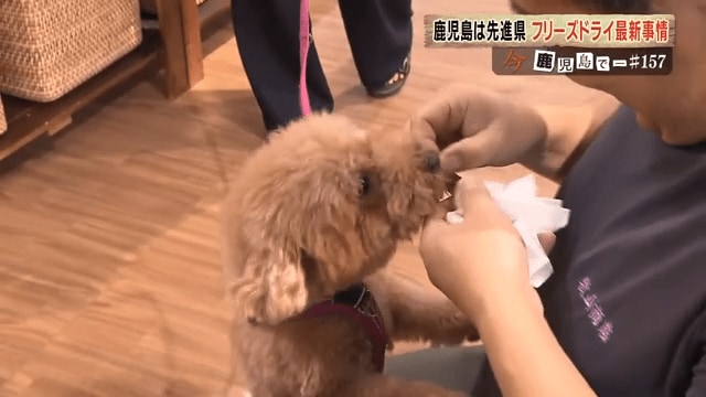愛犬家たちの評判も上々だ