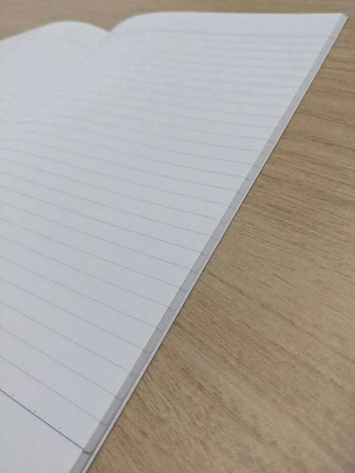 紙の端までしっかり罫線が引かれていることも特徴