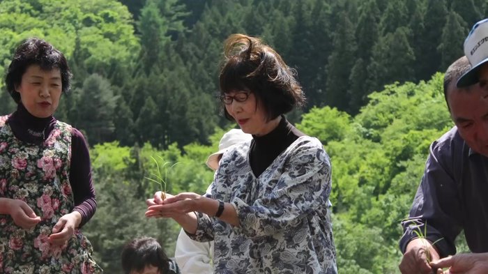 震災がれきの中で芽吹いた “奇跡のお米”…復興のシンボルが人と被災地を今もつなぐ【岩手発】