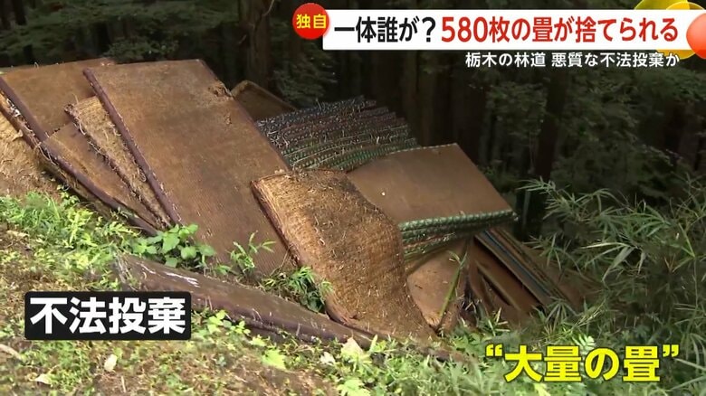 のどかな林道脇に大量の畳や建築廃材が不法投棄…私有地で撤去できず　住宅の解体工事のゴミか　栃木・佐野市｜FNNプライムオンライン