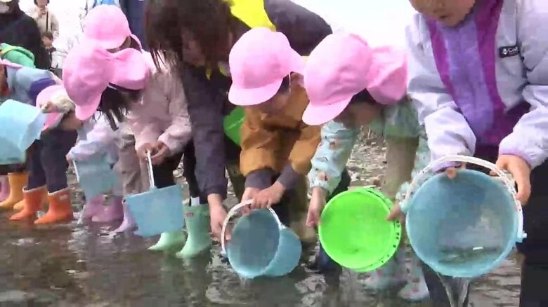 子どもたちがサケの稚魚放流　宮古市の津軽石川に約1万匹　岩手県｜FNNプライムオンライン