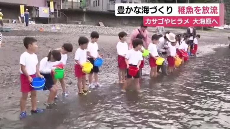 豊かな海づくりを目指し稚魚を放流　カサゴやヒラメなどが大海原へ｜FNNプライムオンライン