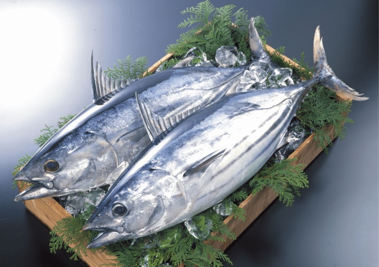 全国4万5千人調査で判明！土佐久礼(高知県中土佐町)が、“かつお愛“日本一の町に！