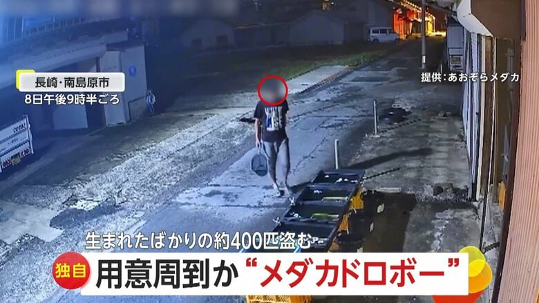 「たも網」持参でメダカ約400匹を次々とすくい盗んでいく男　被害総額は約40万円に　長崎・南島原市｜FNNプライムオンライン