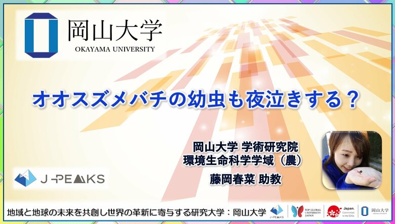 オオスズメバチの幼虫も夜泣きする？〔岡山大学, 神戸大学〕