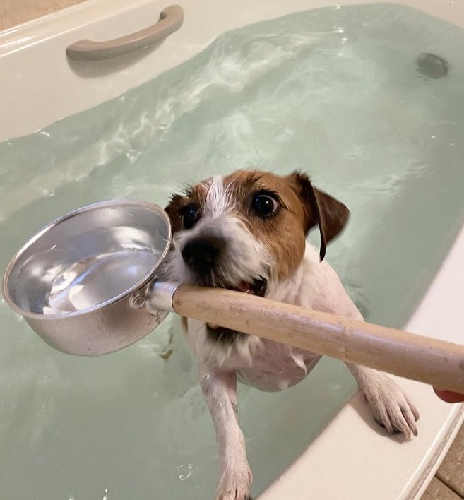 お気に入りのひしゃく